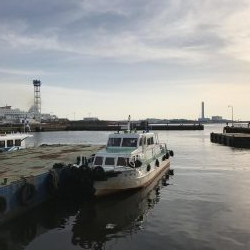 フェリーターミナルでのヘチ釣り釣果（夜は強風渋いながらも小キビレチヌ、明けてアブシン釣果有り）